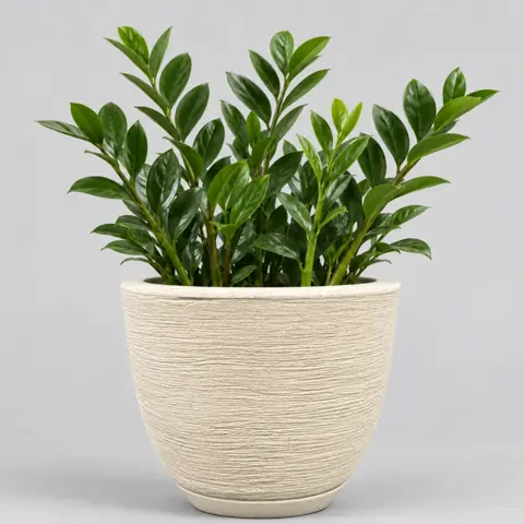 Vaso Polietileno Para Plantas Jardim Sala Luxo escovado bojo pequeno Com Prato