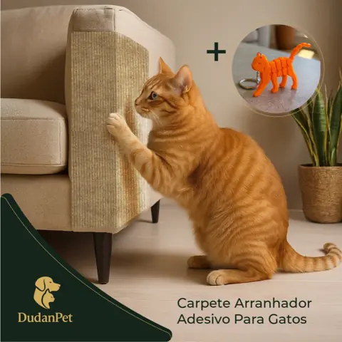 Arranhador Protetor Adesivo Gatos Pet Sofá, Cama, Móveis Escalada Premium +